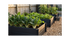 Stack 'N' Grow Raised Garden Bed 1200 x 800